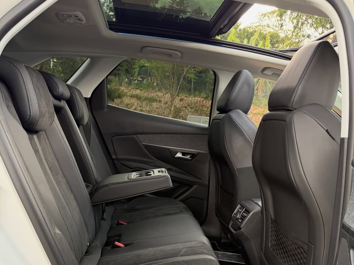 Peugeot 3008 Cross City - view 2