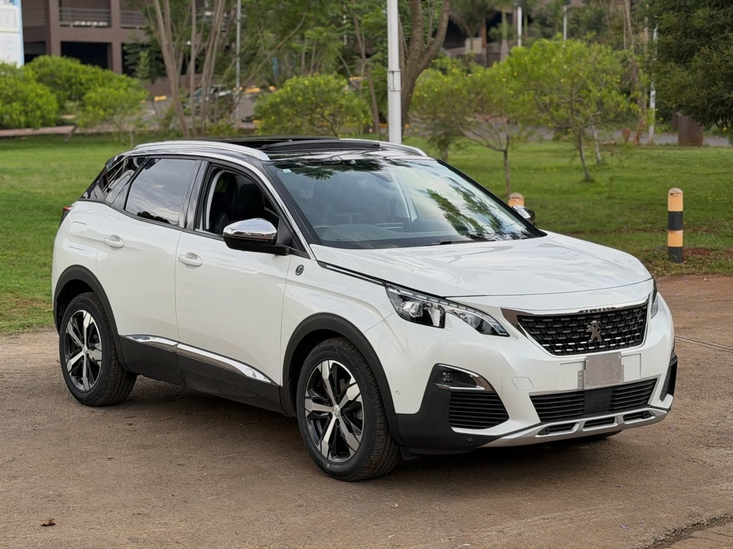 Peugeot 3008 Cross City - view 4